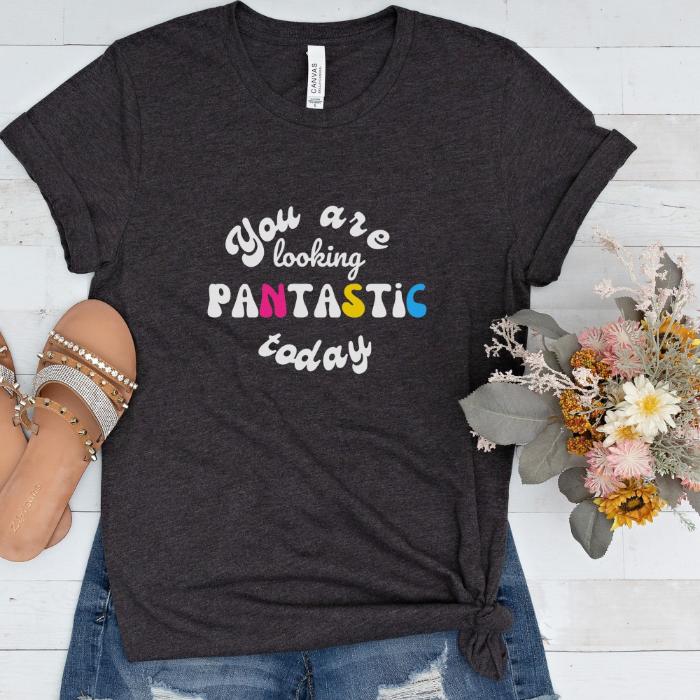 Pansexual Shirt Your are Looking Pantastic Today