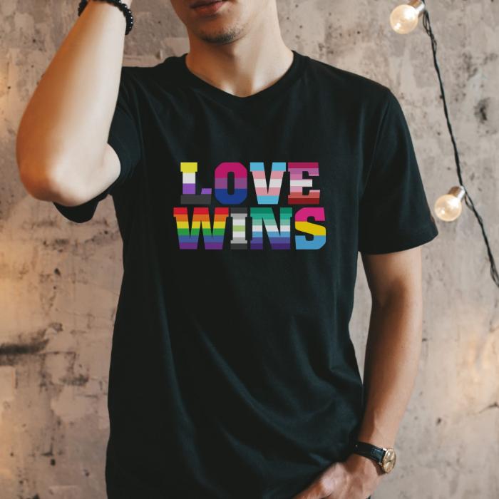 Ally Pride Shirt Love Wins All Pride Flags