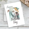 Watercolor illustration of a Pitbull with a blanket on its head, designed for a Mother's Day card.