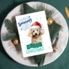 Cute Poodle holiday card with wintry scene and Christmas cheer