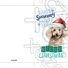 Printable Poodle Christmas Card | Instant Download