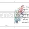 Printable Sympathy Card When Someone You Love Becomes A Memory